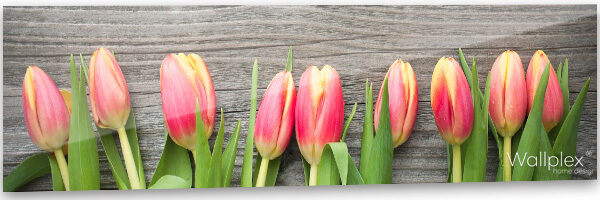 konyhai fali panel tulipánok