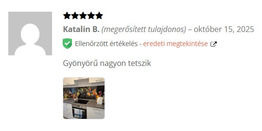konyhapanel értékelés 1 konyhapanel értékelés 1